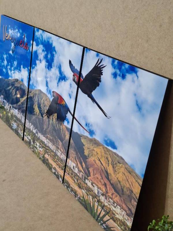 Miniatura 8